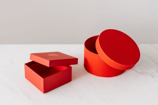 How to adapt your didactics for students with developmental disabilities?